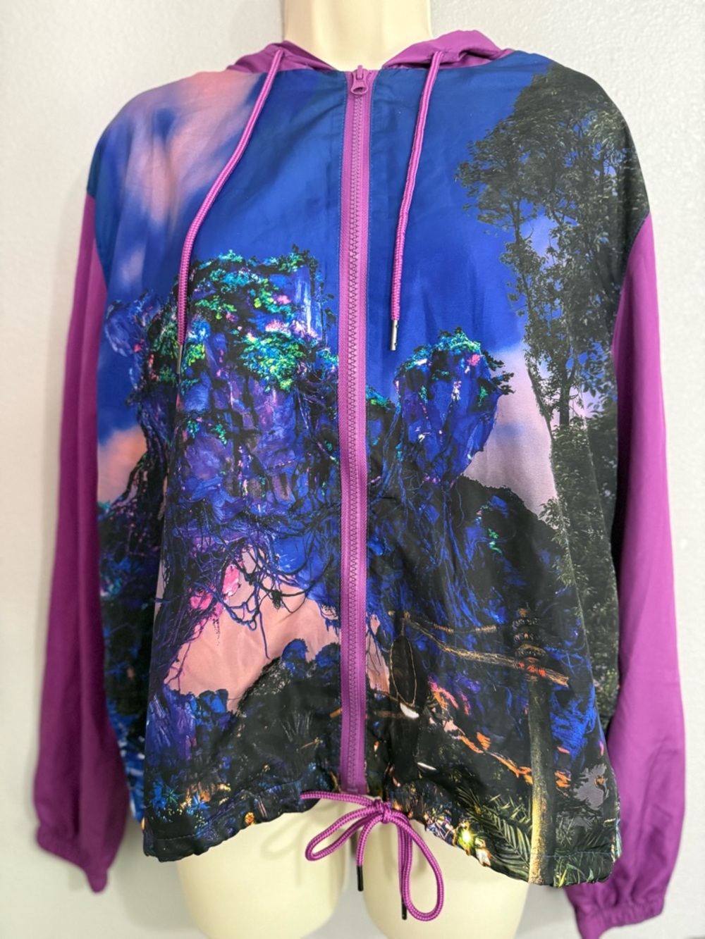 Disney Pandora World of Avatar Hooded Windbreaker Jacket Size Medium